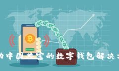 推动中国共富的数字钱包