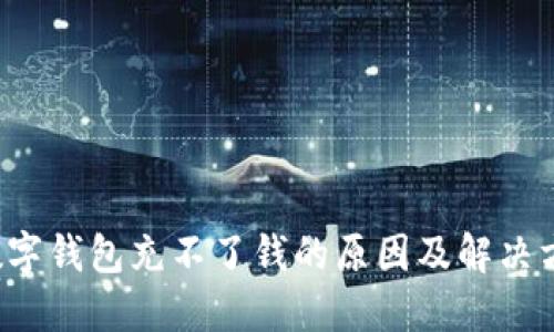  数字钱包充不了钱的原因及解决方法
