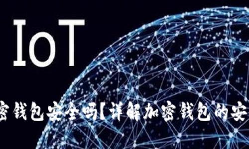  国外的加密钱包安全吗？详解加密钱包的安全性与风险