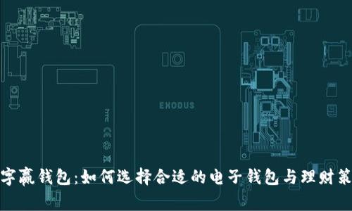 数字赢钱包：如何选择合适的电子钱包与理财策略
