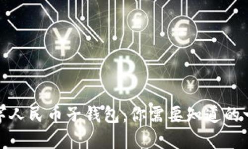 数字人民币子钱包：你需要知道的一切