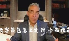 数字钱包怎么支付：全面