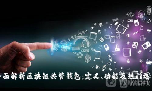 全面解析区块链共管钱包：定义、功能及热门选项