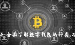 数字钱包百科：全面了解