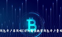 : 企业数字钱包开户要钱吗