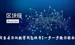  如何查看你的数字钱包账