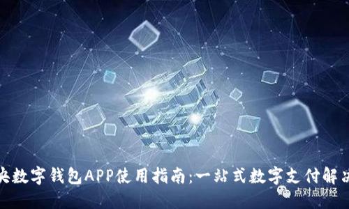 : 中央数字钱包APP使用指南：一站式数字支付解决方案