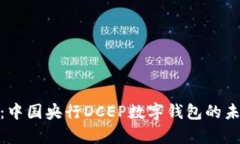 全面解析：中国央行DCEP数