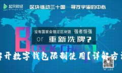 : 怎样解开数字钱包限制使