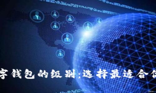 深入了解数字钱包的级别：选择最适合你的钱包类型