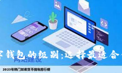 深入了解数字钱包的级别：选择最适合你的钱包类型