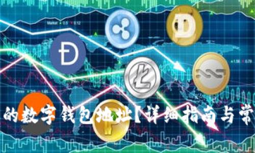 如何找到你的数字钱包地址？详细指南与常见问题解答
