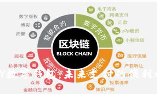: DY数字钱包：未来支付的便利之选