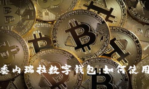 全面解析委内瑞拉数字钱包：如何使用及其优势
