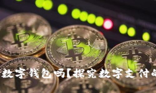  京东能用数字钱包吗？探究数字支付的未来趋势