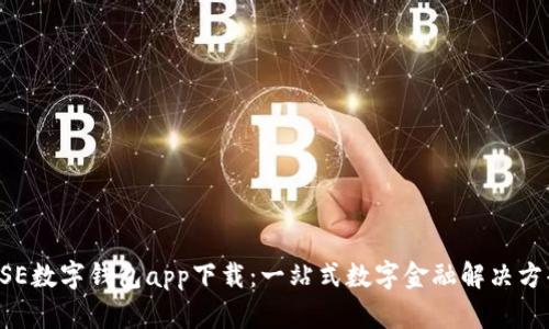 DSE数字钱包app下载：一站式数字金融解决方案
