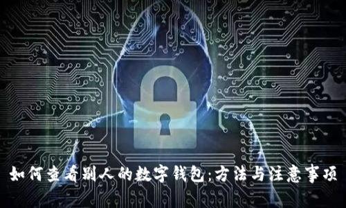 如何查看别人的数字钱包：方法与注意事项