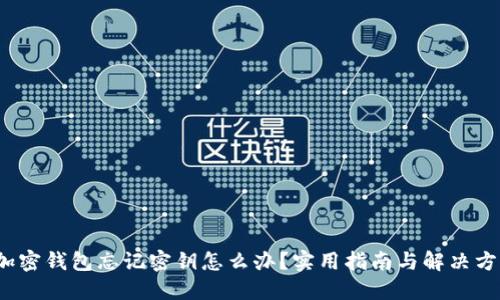  加密钱包忘记密钥怎么办？实用指南与解决方案